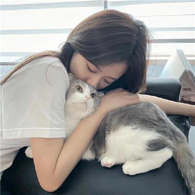 一条狗的使命2