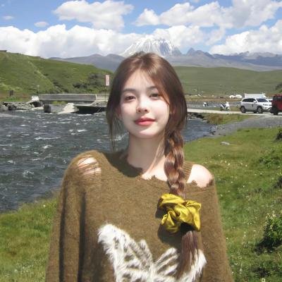 峠最后的武士